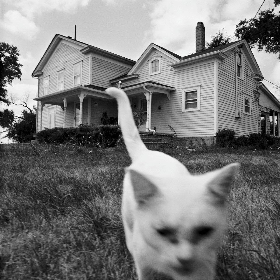 Czarno-biała fotografia artystyczna Andreasa Horvatha przedstawiająca białego kota na pierwszym planie i drewniany dom w stylu amerykańskim w tle. Kolekcjonerska odbitka fotograficzna idealna na prezent dla miłośnika sztuki i kotów w Beetles Concept Store.