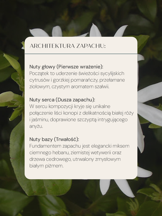 Kompozycja-zapachu-Hemp-Care-nuty-cytrusowe-jasmin-pizmo-drzewo-cedrowe
