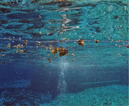 Krem do twarzy SATURNIA PRO-COLLAGEN FIRMING CREAM, 50 ml