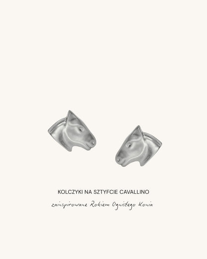 srebrne Minimalistyczne_Kolczyki_na_sztyfcie_CAVALLINO
